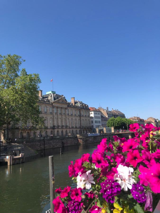 Appartement Au Coeur Strasbourg Exteriör bild